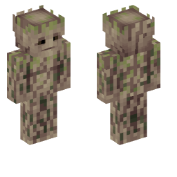 Minecraft Skin 