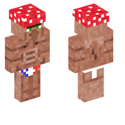 Minecraft Skin 